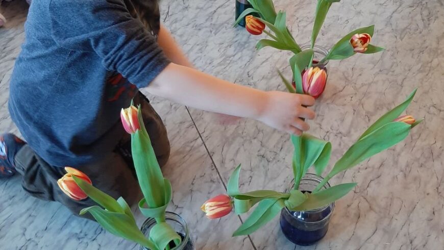 Grupa II – „Barwimy tulipany” oraz „Marchewkowe puzzle”